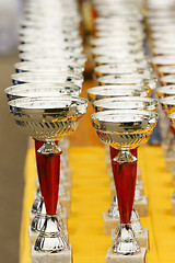 Image showing Champion trophies