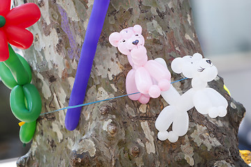 Image showing Balloons attached to tree trunk