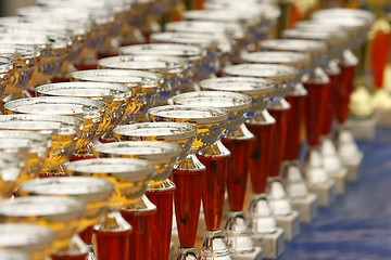 Image showing Champion trophies lined up