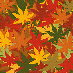 Image showing Autumn Leaves