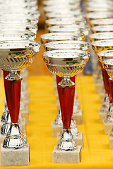 Image showing Silver champion trophies