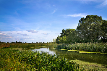 Image showing Summer landscape with a river