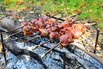 Image showing Barbecue cooking meat on a fire