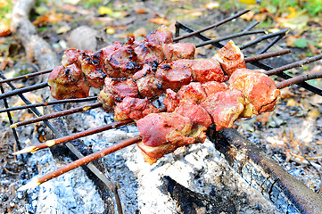 Image showing Barbecue cooking meat on a fire