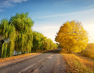 Image showing Road through autumn forest