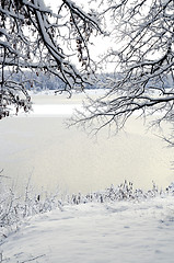Image showing Winter landscape: the view through the frame of the snowy branch