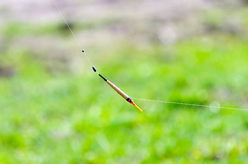 Image showing Float hanging on the line