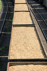 Image showing woodchips transportation