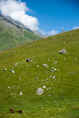 Image showing Hiking in Georgia Mountain