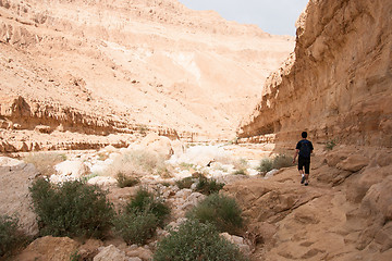 Image showing Hiking in stone desert middle east adventure