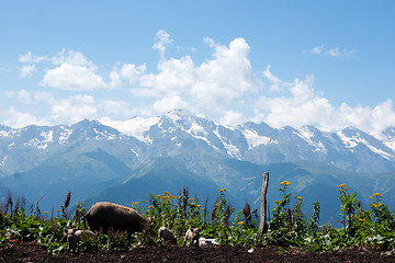 Image showing Hiking in mountain