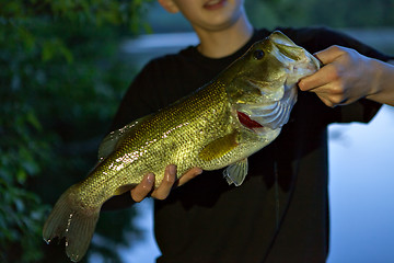 Image showing Bass Fishing Catch