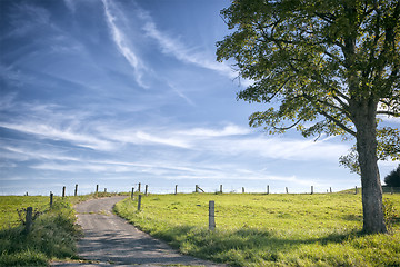 Image showing landscape mist