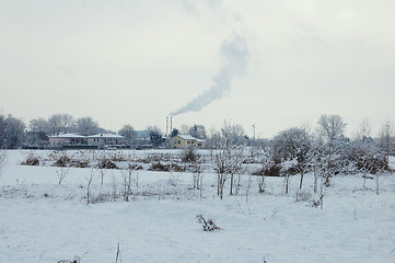 Image showing gray winter 