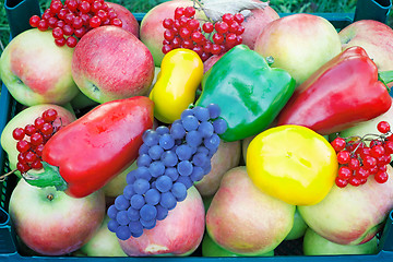 Image showing A variety of large ripe fruits and vegetables in the container.