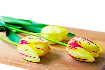 Image showing Three bright red tulips on a white background.