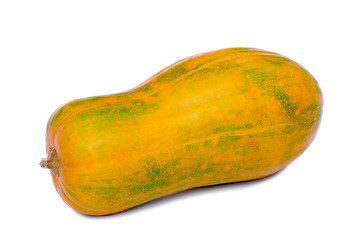 Image showing Large ripe pumpkin on a white background.