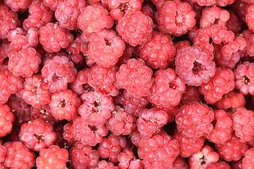 Image showing red raspberries background