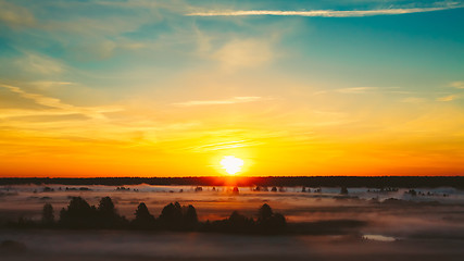 Image showing Beautiful Forest On Sunrise. Morning Fog On Meadow