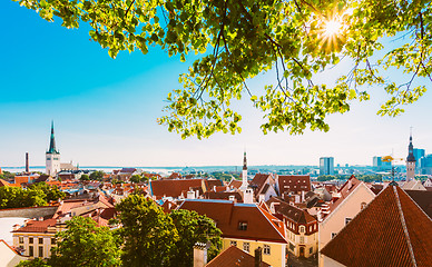 Image showing Scenic View Landscape Old City Town Tallinn In Estonia