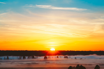 Image showing Beautiful Forest On Sunrise. Morning Fog On Meadow