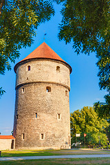 Image showing Medieval Tower Kiek-in-de-Kok In Park On Hill Toompea In Tallinn