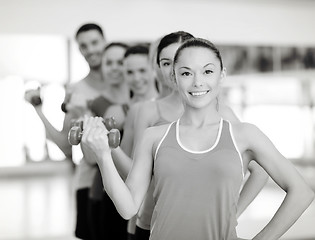 Image showing group of smiling people with dumbbells in the gym