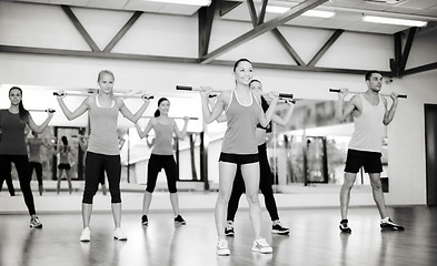 Image showing group of smiling people working out with barbells