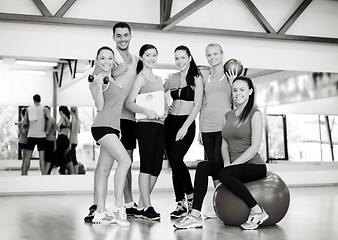 Image showing group of smiling people in the gym