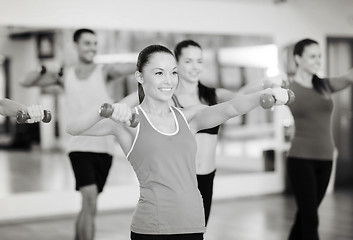 Image showing group of smiling people working out with dumbbells