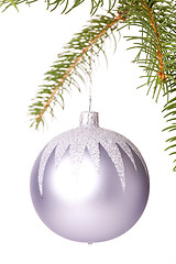 Image showing Christmas ball hanging from a branch of a fir tree