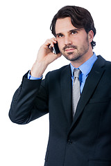 Image showing Stylish businessman talking on his mobile phone