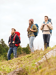 Image showing group of smiling friends with backpacks hiking