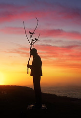 Image showing Man Playing with Birds Silhouette