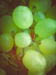 Image showing Retro look Grape