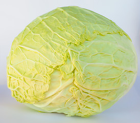 Image showing Cabbage