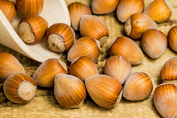 Image showing hazelnuts