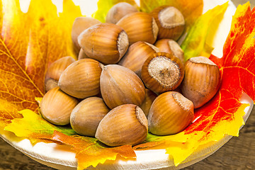 Image showing hazelnuts