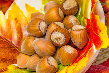 Image showing hazelnuts