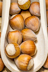 Image showing hazelnuts