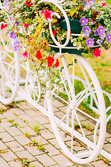 Image showing White Decorative Bicycle Parking In Garden 
