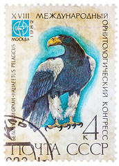 Image showing Stamp printed in USSR (Russia) shows a bird Haliaeetus pelagitus