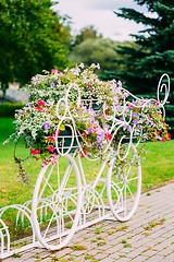 Image showing White Decorative Bicycle Parking In Garden 