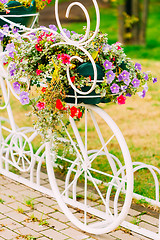 Image showing White Decorative Bicycle Parking In Garden 