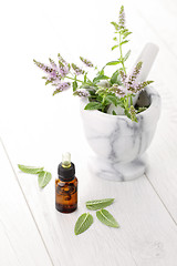 Image showing essential oil