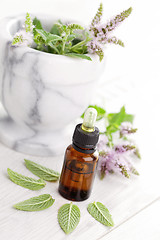 Image showing essential oil