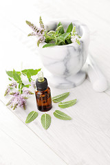 Image showing essential oil