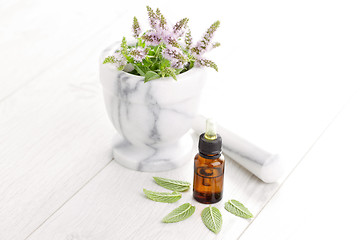 Image showing essential oil