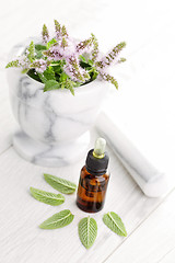 Image showing essential oil