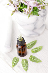 Image showing essential oil